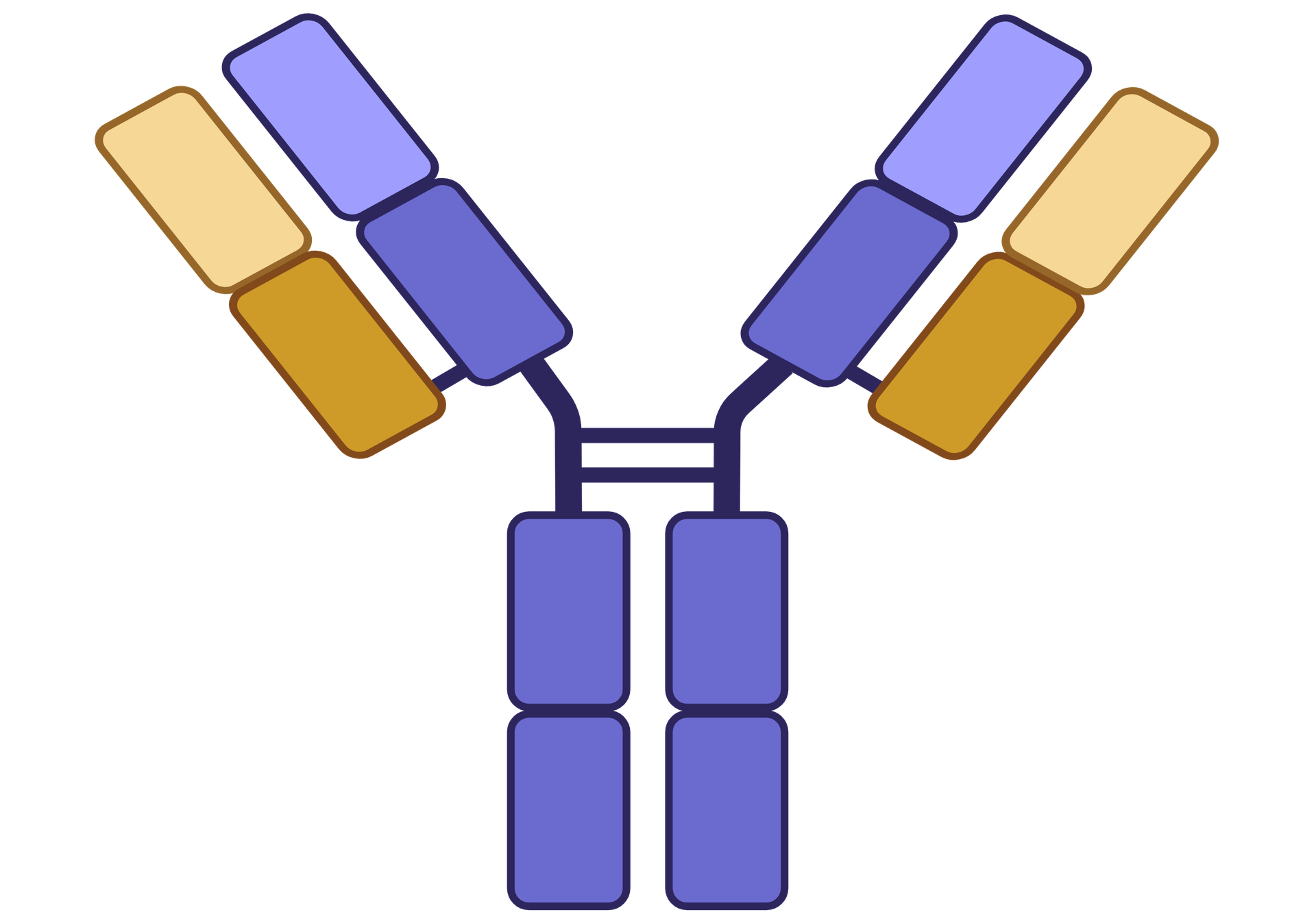 Microbiology Procedure